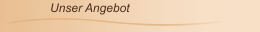 Unser Angebot
